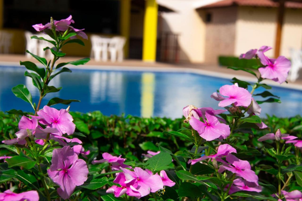 Deluxe Suites Guacamayos - Eco-Lodge & Swimming Pool Bonao Extérieur photo